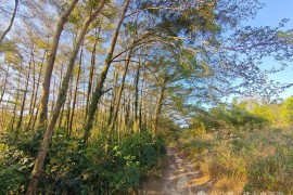 五桂山闲行记